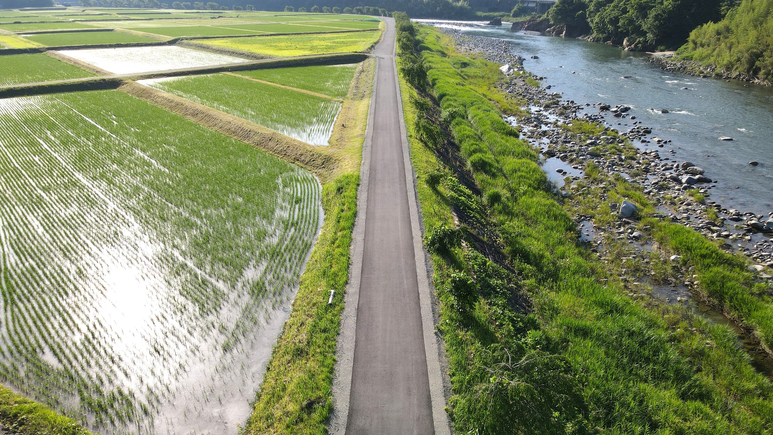 四美地内堤防舗装工事